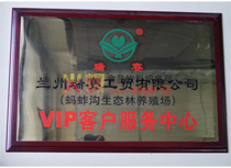 VIP͑