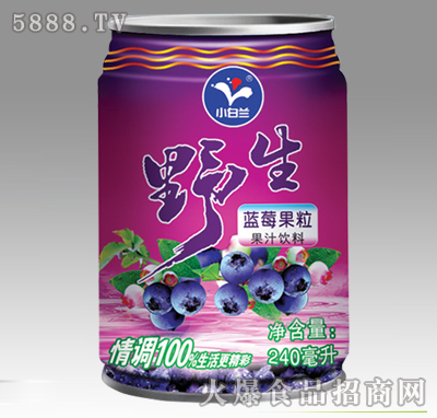 СmҰ{(ln)ݮ֭240ml