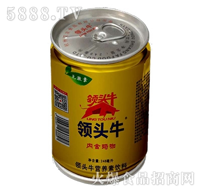 I(lng)^ţIB(yng)245ml