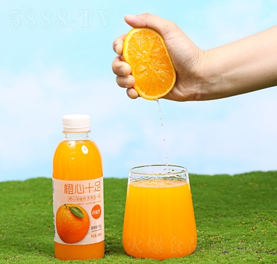 ֭٘ϳʮ֭ļ360mlСu؛Դ