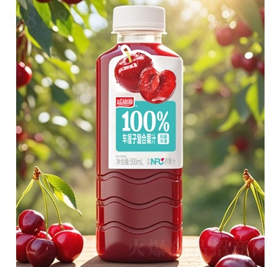 Դ100%܇(ch)?yn)ӏ?f)Ϲ֭500ml