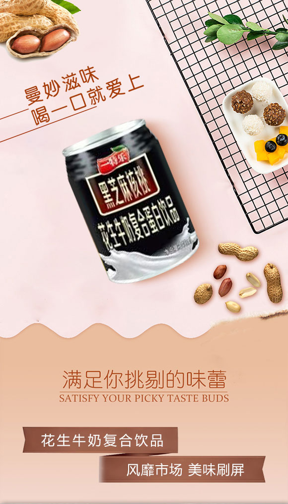 一特樂黑芝麻核桃復(fù)合蛋白飲料 一特樂黑芝麻核桃復(fù)合蛋白飲料