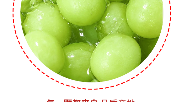 а۝(rn)ƷƼ޹˾-a(chn)Ʒ(hu)(c)_08